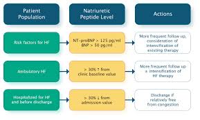 6 Biomarkers Natriuretic Peptides
