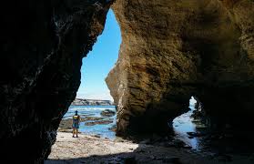 Montana De Oro State Park Trip Guide Explore More Nature