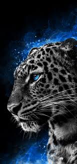Animated Tiger Wallpaper Cheetah Wallpaper Wild Animal Wallpaper Tiger Wallpaper