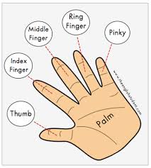 The typing test is great if you want to practice the most common words of a language, but what if you want to practice more difficult words, punctuations, special characters or just a paragraph from a book? Names Of The Fingers On Your Hand Pregnancy Test Kit