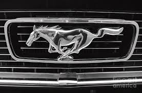 Mustang logo is adored by all auto fans from all over the world. Ford Mustang Logo Photograph By Travshotz Agency