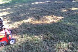 The existing lawn is already getting on the long side. It S Go Time For Fall Recovery On Lawns Missouri Environment And Garden News Article Integrated Pest Management University Of Missouri