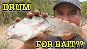 Tim Molina'sbirthday!