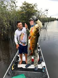 We did not find results for: Watch The Battle Of A 25 Lb Monster Peacockbass Amazon Hawghunter Fishing For Peacock Bass