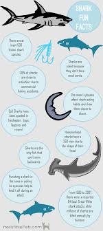 You can use this swimming information to make your own swimming trivia questions. Shark Week Fun Facts Irresistible Pets Shark Facts Shark Facts For Kids Fun Facts
