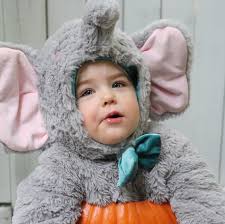 Elle-mo, Elle-ephant and a Cookie Monster 🍪 #happyhalloween