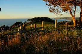 You can also check the schedule, technical details and many more. Campo Anillen Tirua Lavkenmapu David Rsg Flickr
