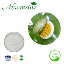 Image result for Voacanga chalotiana