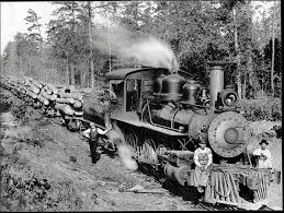 Welcome to custom cut lumber! Pine Curtain Of The Past Texas Highways
