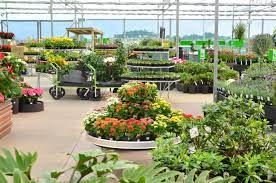 Palmers Albany Palmers Garden Centre Www Palmers Co Nz Palmers Garden Centre Plants Garden Center