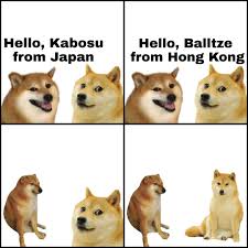 Shiba inu, microsoft windows, memes, doge. Doge Collection Facebook