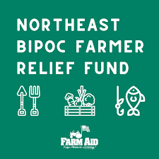 The term bipoc represents black, indigenous and people of color. Update On The Bipoc Farmer Relief Fund Nesawg