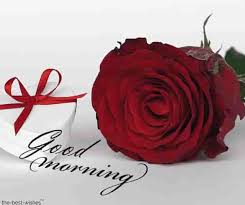 It goes in dry and comes out wet and the longer it's in, the stronger it gets. Top 134 Good Morning Wishes With Rose Best Hd Images