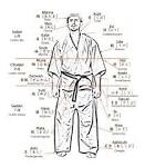 Interno del corpo umano karate