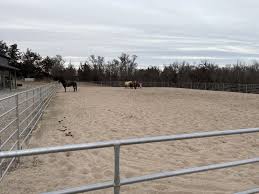 Our riding arenas are built for quiet footing, clean lines, and the kind of  consistency that lets horse and rider focus on the round, not the ground.  Whether you're schooling at home