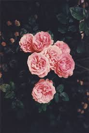 Beautiful Flowers Background Fondos Flower Wallpaper Flowers Vintage Landscape