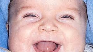 Evan Philip Zorn New Arrival