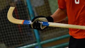 Gran selección de stick y protecciones de hockey para. L Ok Lliga 2018 2019 Comencara El 22 De Setembre