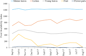 Image result for Beilschmiedia rwandensis