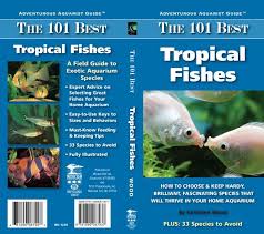 Books By Susie Forbes Via Behance Mini Books Pet Vet Miniature Printables