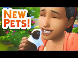 Every item on this page was chosen by a woman's day editor. Top 10 Sims 4 Best Pet Mods That Are Fun Gamers Decide