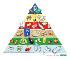 See more ideas about food pyramid, nutrition, healthy. The Food Pyramid Alimentarium Academy