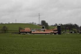 Mitarbeiter der queen räumen das haus von harry und meghan leer. Landwirtschaft Soll Treibhausgase Um 40 Senken Schweizer Bauer