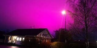 If you're ready to really shake things up in your garden this summer, it's time to consider growing the night sky petunia. Energy Saving Lighting System Turns Night Sky Purple