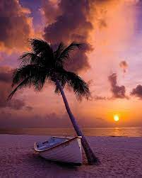 Njoi Beautiful Sunset Beach Sunset