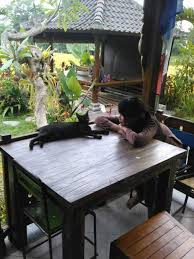 Tekanan yang kamu hadapi sekarang ini merupakan sesuatu yang selama ini membuat kamu bahagia namun pada saat ini berbalik menyerang kebahagiaan kamu. 30 Arti Mimpi Tentang Kucing Yang Perlu Kamu Ketahui Informasi Tentang Kucing