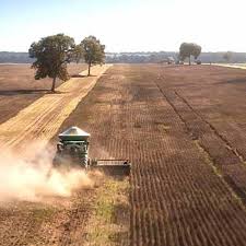 Família Negrão vai permanecer na agropecuária após a venda da Fazenda Conforto