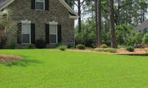 Which is the better grass? Centipedegrass Yearly Maintenance Program Home Garden Information Center