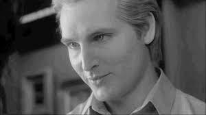 The Irish names of Twilight ☘️