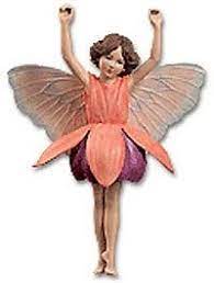 The Fuchsia Flower Fairy Fuchsia Flower Flower Fairies My Fairy Garden