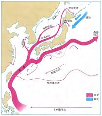 黒潮続流循環系の形成・変動のメカニズムと大気・海洋生態系への影響計12名 代表 野中 正見 * （海洋研究開発機構・グループリーダー代理） 分担 久保川 厚 * （北海道大学・教授）、佐々木 英治 * （海洋研究開発機構・主任研究員）、田口 文明 * （海洋研究開発機構・主任研究員. æµ·æµã¨ã¯ ã‚³ãƒˆãƒãƒ³ã‚¯