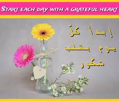 Gratitude is the state of feeling grateful. The Word Collector 2 8 Words Related To Gratitude In Arabic