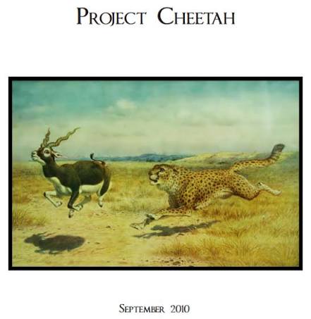 Cheetah Reintroduction in India