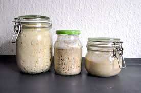 We did not find results for: Bio Roggensauerteig Das Eigene Sauerteigbrot Backen Naturliches Und Ursprungliches Brot Selber Backen Blog Videos Tipps Kurse