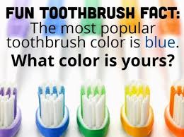Toothbrush Fact Dr Marc E Goldenberg Dr Kate M Pierce And Dr Matthew S Applebaum Pediatric Dental Office Dental Fun Facts Pediatric Dental Dental Facts