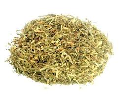 Image result for Phyllanthus mendesii