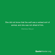 Elb has produced a series of bestselling english guides. She Did Not Know That The Wolf Was A Wicked Sort Of Animal And She Was Not Afraid Of Him Marissa Meyer