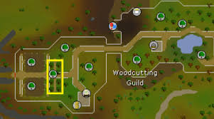 If you need help questing in osrs, you can check out our osrs optimal quest guide to come up. Osrs Quest Guide Osrs Quest Requirements Runescape Quest Guide