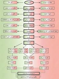 الهيكل التنظيمي لجمعية الكشافة Boy Scouts Scout Map