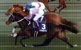 競馬 第４４回有馬記念