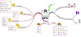 Determinant Mindmaps