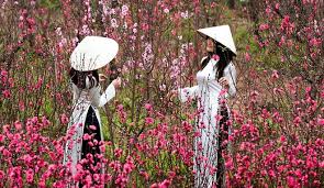 Đối với tết nguyên đán tân sửu, mỗi cán bộ, giảng viên, nhân viên sẽ được thưởng một tháng lương và 20 triệu đồng. Nghá»‰ 7 Ngay Dá»‹p Táº¿t Nguyen Ä'an Tan Sá»­u 2021 Xa Há»™i