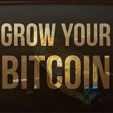 The expected roi of this portfolio is 2.866 in 2021, making the investment grow to $2866. The Real Joy Is In Seeing My Clients Happy Join Me Today Learn How To Trade Binary Options And Bitcoin Trade Invest 300 Bitcoin Cryptocurrency Bitcoin Mining