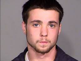 Driver pleads guilty in hit-and-run death