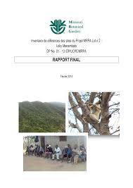 Image result for Hydrostachys myriophylla