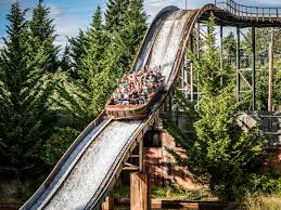 The company's filing status is listed as active and its file number is 604669413. The Inside Scoop On Wild Waves Theme Water Park